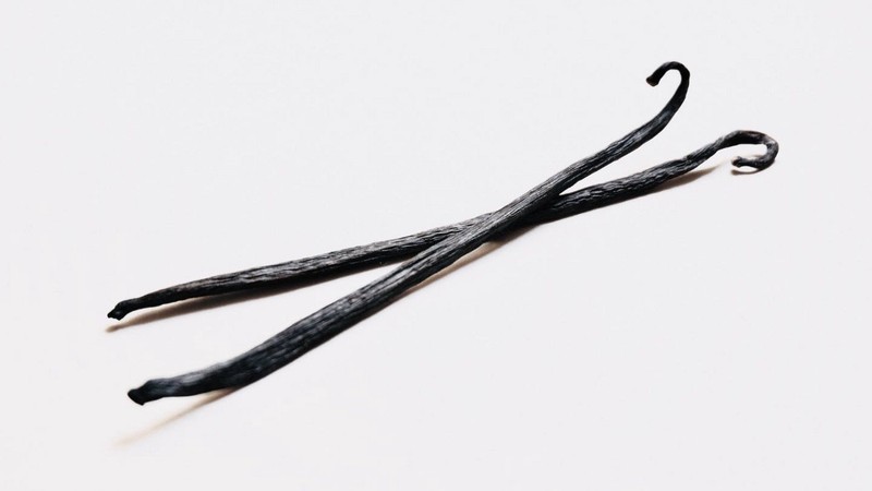 7 Reasons Why TypeScript is Better Than Vanilla JavaScript